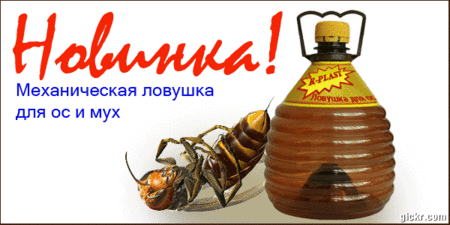 Бутылка-ловушка для пчел и ос